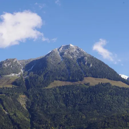 Haus Alpenrebe