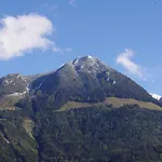 Haus Alpenrebe