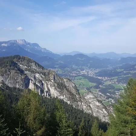 Haus Alpenrebe *