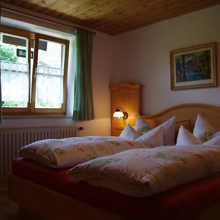 Haus Alpenrebe *